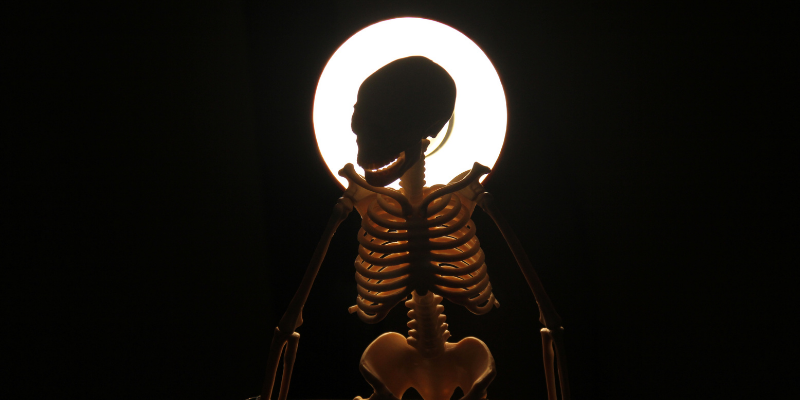 skeleton sitting on bench watching a full moon